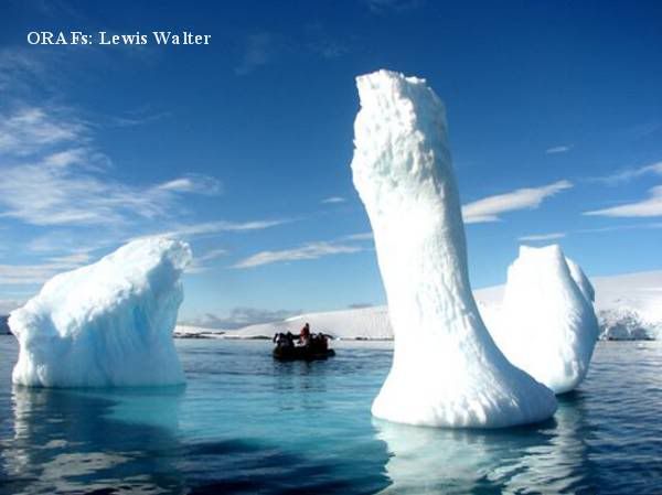 2, Rhodesians in Antarctica