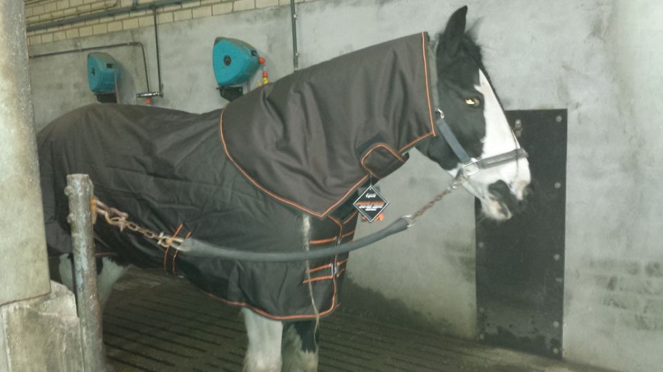 Afbeelding
