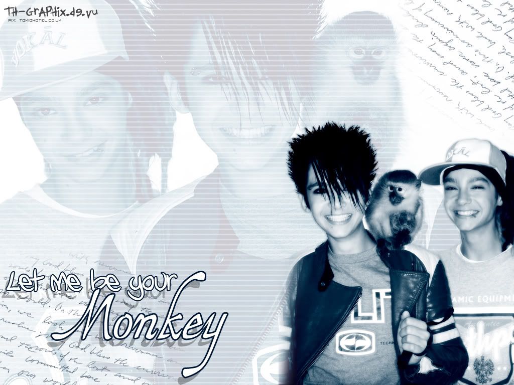 monkey21e.jpg picture by EvelynKaulitz19