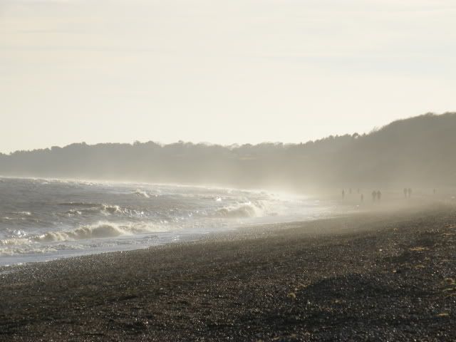 beach10.jpg