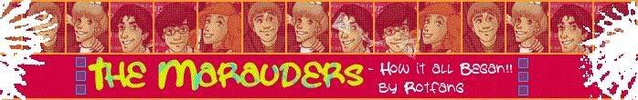 THE MARAUDERS1