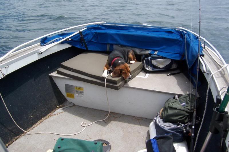 2009078.jpg picture by erabbit456