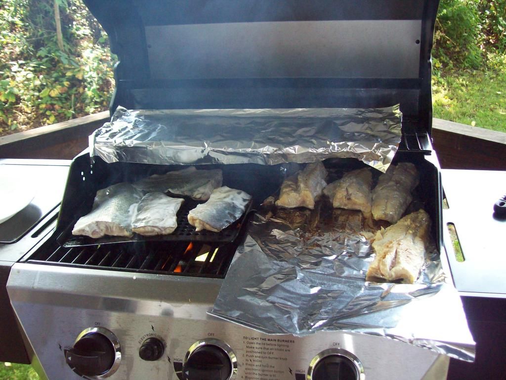 fishcooked002_zpsf6a95614.jpg