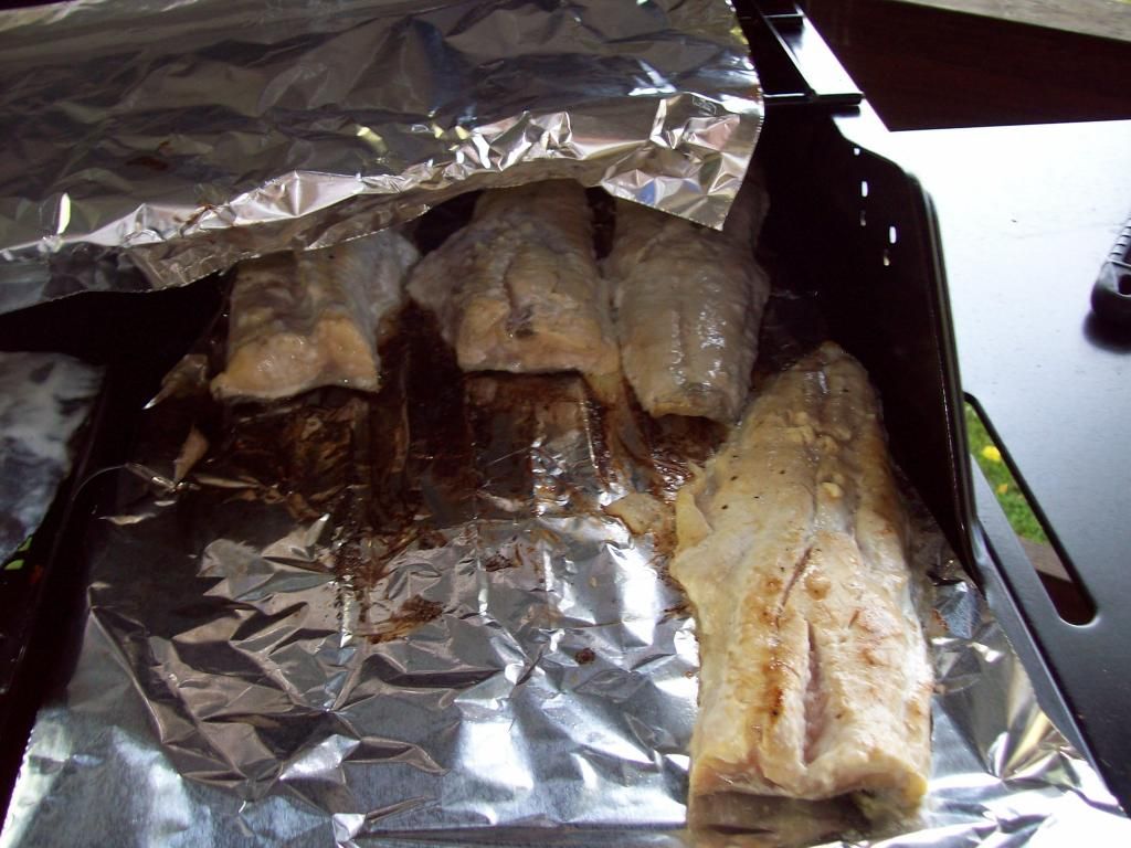 fishcooked004_zpsf9d1154a.jpg