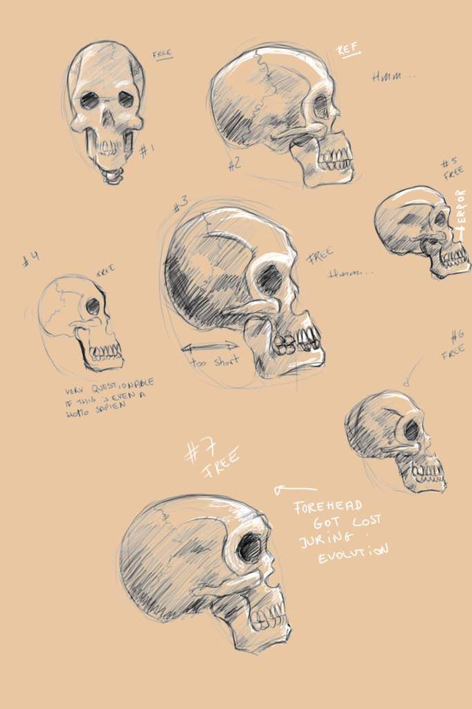 Midnight drawings Midnight drawings