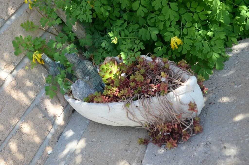  photo DSC_9690_zpsaca27615.jpg