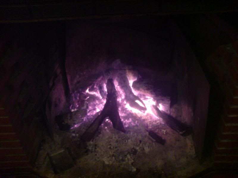 DSC02358.jpg