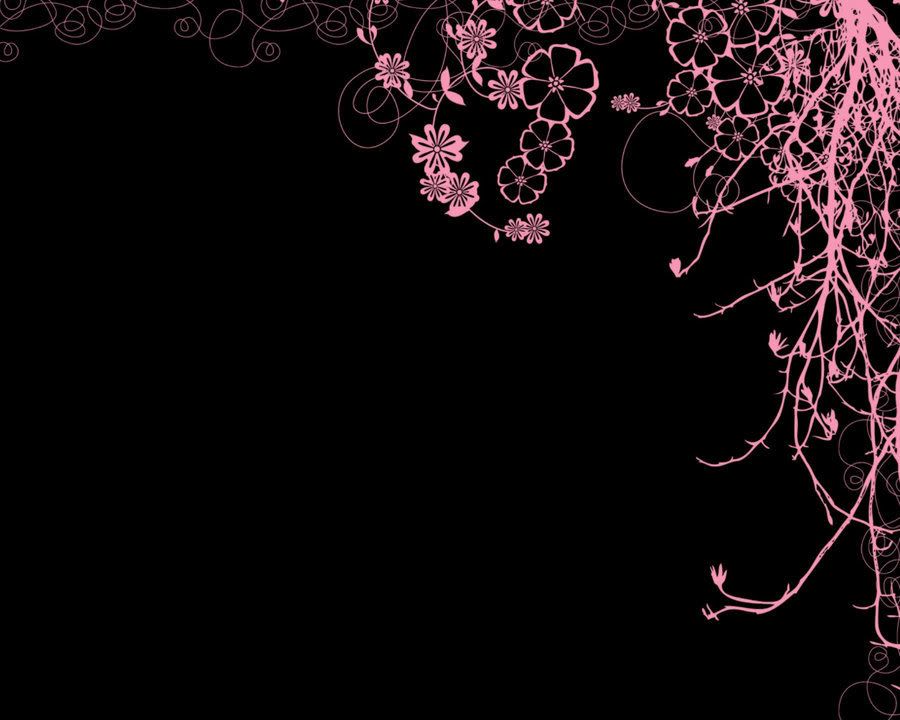 http://i193.photobucket.com/albums/z57/sayurilayouts/Black_Vs__Pink_by_LaydeeNayla.jpg