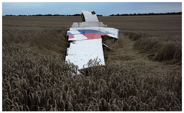  photo MH17_zps15cad248.jpg
