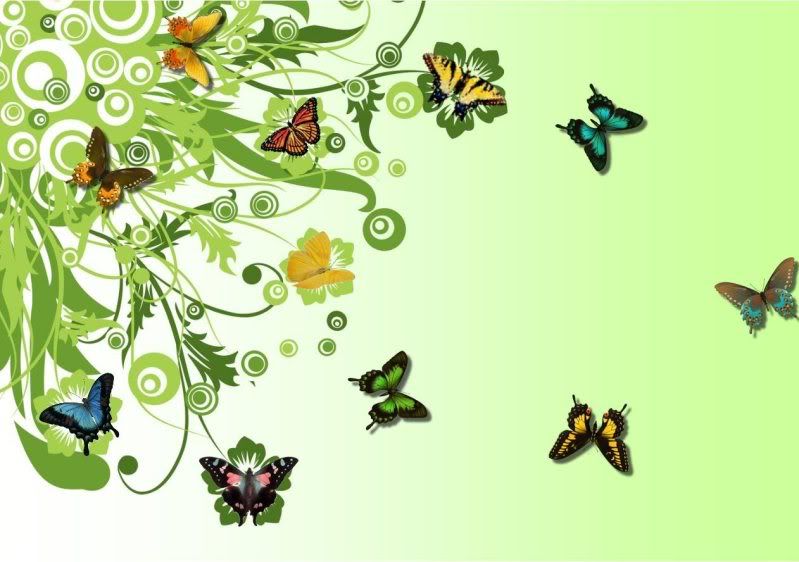 wallpapers butterfly. Butterfly Fantasy Wallpaper