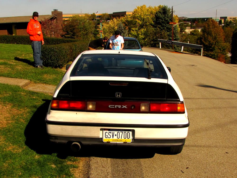 crx4.jpg