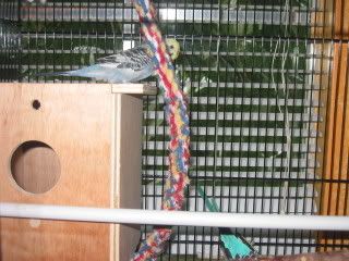 IMG_2416.jpg