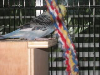 IMG_2418.jpg
