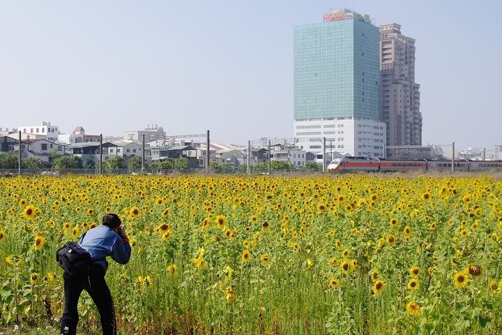 建發中式便當專賣店 ・生產路花海