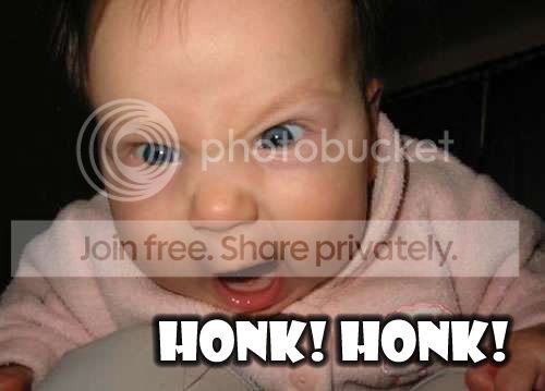 honk.jpg