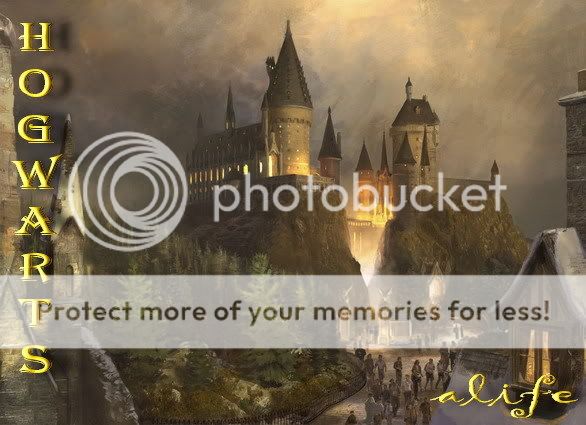 http://i193.photobucket.com/albums/z135/NaStiaShA/HarryPotterThemePark-Hogwarts-2.jpg
