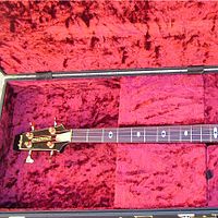 Aria Pro Ii Sb Black N Gold I Cliff Burton Signature Bass Photo