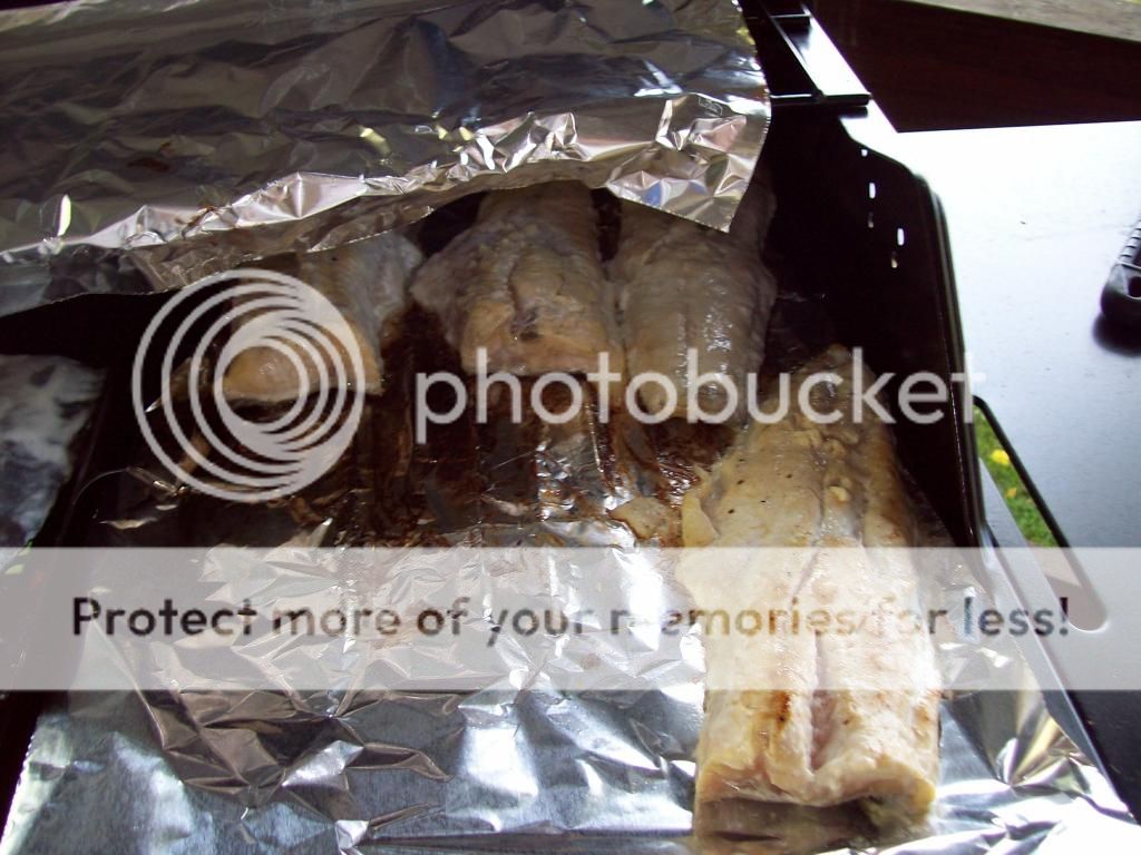 fishcooked004_zpsf9d1154a.jpg