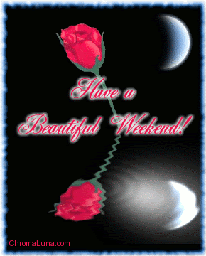 beautiful_weekend_reflecting_rose.gif